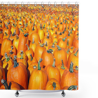 Personality  Large Pumpkin Patch Shower Curtains