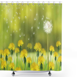 Personality  Dandelions Flowers Field Shower Curtains