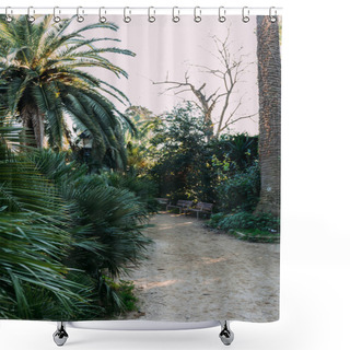Personality  Green Trees And Bushes, Bunches And Walking Path In Parc De La Ciutadella, Barcelona, Spain Shower Curtains