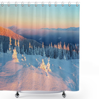 Personality   Forests Covered With Snow. Shower Curtains