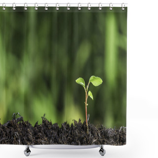Personality  Close Up Of A Young Plant Sprouting From The Ground With Green Bokeh Background Shower Curtains