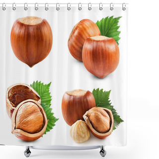 Personality  Hazelnuts Isolated On White Shower Curtains
