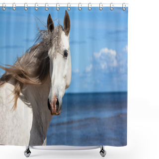 Personality  White Andalusian Breed Horse Stands In The Sea In Water In Sunny Summer Day. Animal Portrait. Shower Curtains