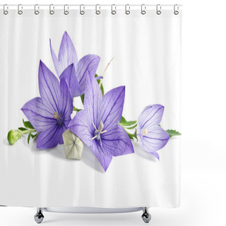 Personality  Beautiful Bluebells On White Background Shower Curtains
