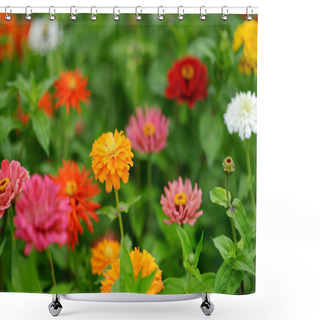 Personality  Red And Orange Zinnia Flowers Shower Curtains