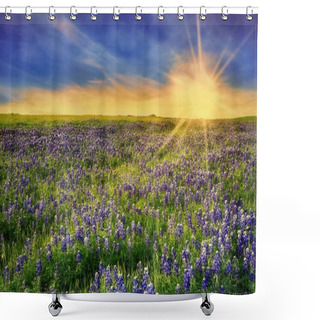 Personality  Texas Bluebonnet Field At Sunset Shower Curtains