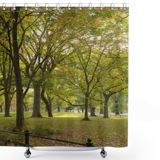 Personality  Park With Picturesque Green Trees In New York City Shower Curtains