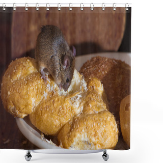 Personality  Mouse In The Kitchen Shower Curtains