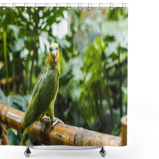 Personality  Beautiful Green Afrotropical Parrot Perching On Bamboo Fence In Tropical Park Shower Curtains