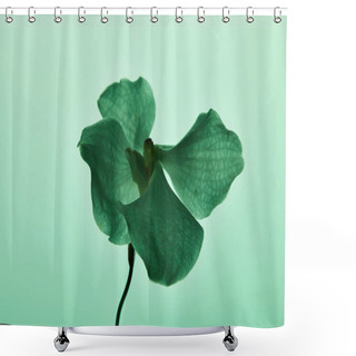 Personality  Colorful Green Orchid Flower Isolated On Green Shower Curtains