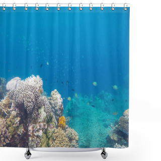 Personality  White Coral On Tropical Sea Bottom. Blue Sea Water And Coral Reef. Coral Reef Animals. Exotic Island Lagoon Snorkeling And Diving. Tropical Seashore Underwater Photo. Coral Reef Undersea Landscape Shower Curtains