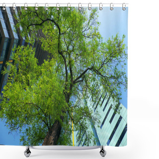 Personality  Two Modern Building With Green Tree On Blue Sky Background Shower Curtains