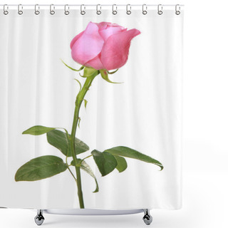 Personality  Pink Rose Shower Curtains