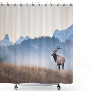 Personality  Bull Elk During The Rut Shower Curtains