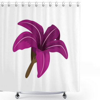 Personality  Purple Chinese Rose With Trumpet Shaped Petals Shower Curtains