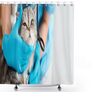 Personality  Partial View Of Veterinarian Examining Tabby Scottish Straight Cat With Stethosope, Panoramic Shot Shower Curtains