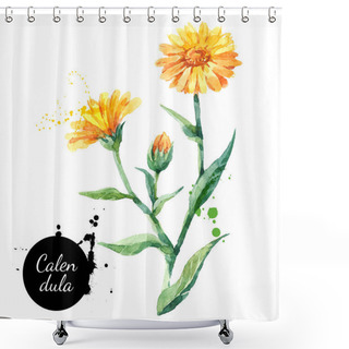 Personality  Hand Drawn Watercolor Calendula Flower Illustration. Vector Painted Sketch Botanical Herbs Isolated On White Background  Shower Curtains