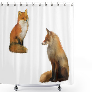 Personality  Adult Shaggy Red Fox Sittng With Big Fluffy Tail. Isolated Illustration On White Background. Shower Curtains