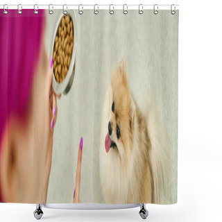 Personality  Blurred Dog Sitter With Bowl Of Dry Food Giving Sit Command To Obedient Pomeranian Spitz, Banner Shower Curtains