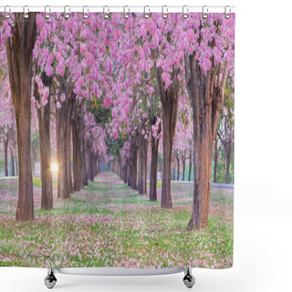 Personality  Panoramic Shot Of Romantic Blossoming Pink Trumpet Flower Trees , It Look Like Cherry Trees In Spring Park. Shower Curtains