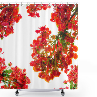 Personality  Red Flower Peacock Shower Curtains