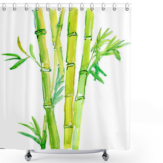 Personality  Bamboo Branch. Shower Curtains