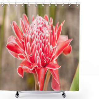 Personality  Torch Ginger Shower Curtains