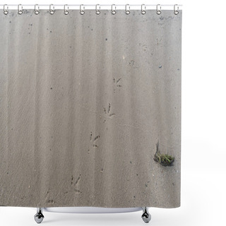 Personality  Top View Of Textured Brown Sand With Bird Footprints Shower Curtains