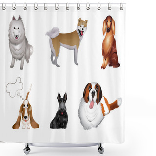 Personality  Set Breeds Of Dog Shower Curtains