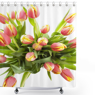 Personality  Dutch Tulips Shower Curtains