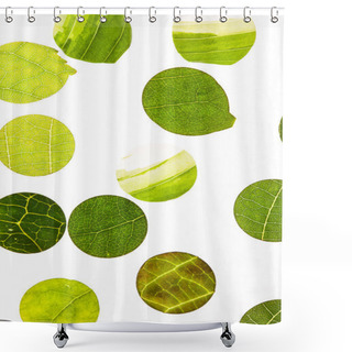 Personality  Leaves Macro Background Shower Curtains