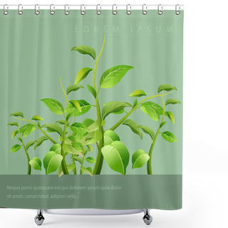 Personality  Natural Background ,branch With Fresh Green Leaves. Shower Curtains