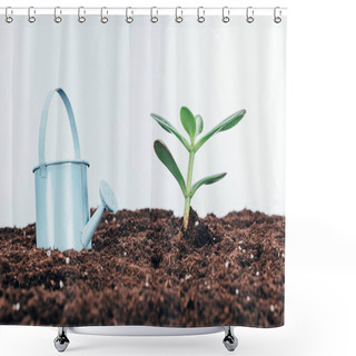 Personality  Close-up View Of Green Plants In Soil And Watering Pot On Grey Shower Curtains