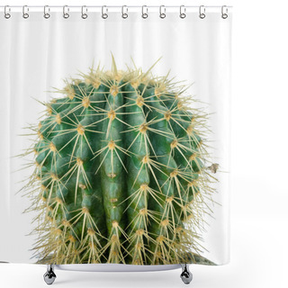 Personality  Detail Of A Cactus Isolated On A White Background Shower Curtains