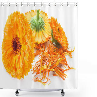 Personality  Calendula Flowers On The White Background. Shower Curtains