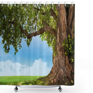 Personality  Green Tree Nature Landscape Shower Curtains