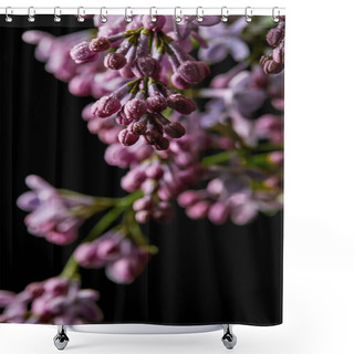 Personality  Close-up Shot Of Aromatic Lilac Flowers Covered With Water Drops Isolated On Black Shower Curtains