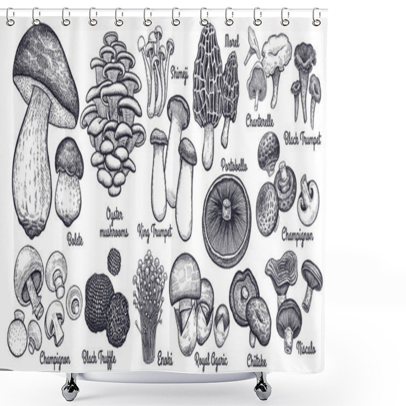 Personality  Edible Mushrooms Big Set. Shower Curtains