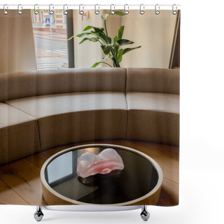 Personality  Decorative Figurine On Round Coffee Table Near Sofa And Green Plant In Hotel  Shower Curtains