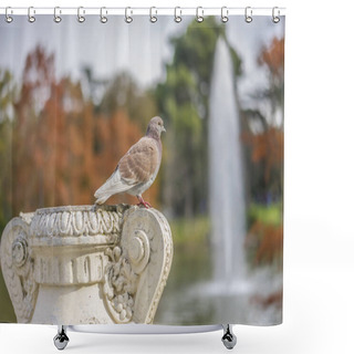 Personality  Groups Of Sparrows Resting On A Ledge Next To A Lake In Retiro Park, Madrid, Spain Shower Curtains