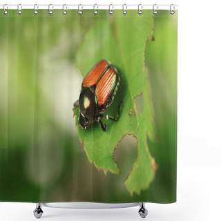 Personality  Japanese Beetle Shower Curtains