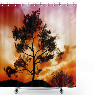 Personality  Tree Sunset Shower Curtains