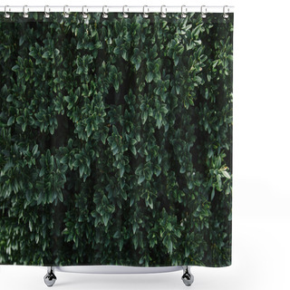 Personality  Close Up Of Green Leaves Of Bush In Garden Shower Curtains