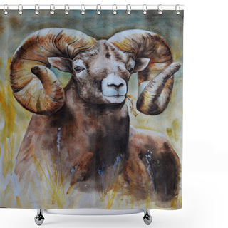 Personality  A Brown Large Male Ram With Steep Large Horns Looks Straight Ahead. Realistic Watercolor Painting. Brown Range Of Shades Of Color. Illustration. Bright Daylight Shower Curtains