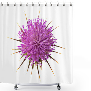 Personality  Milk Thistle Flower Shower Curtains