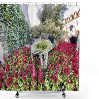 Personality  Green Leaves, Burgundy Flowers Celosia Pinnate Growing In Flower Bed Plants Hanging From Decorative Umbrella Shower Curtains