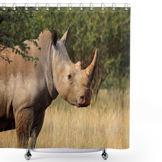Personality  White Rhinoceros In Natural Habitat Shower Curtains