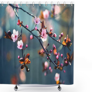Personality  Beautiful Flowering Japanese Cherry - Sakura. Background With Flowers On A Spring Day. Shower Curtains