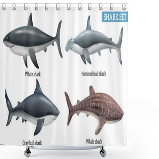 Personality  Realistic Dangerous Shark Species Icons Set Isolated Vector Illustration Shower Curtains