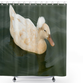 Personality  White Crested Duck In Water Shower Curtains
